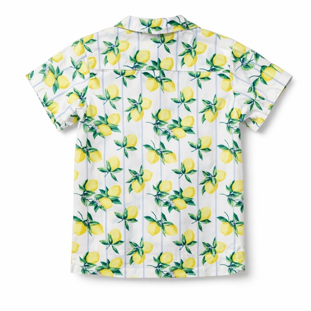 Janie and Jack Boys Size 6 Lemon Print Button Down Shirt Resort Easter Spring - Picture 2 of 8